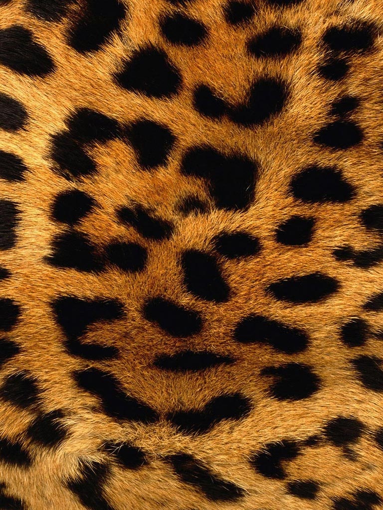 Leopard Skin Pattern Background iPad Wallpaper Photo Nba