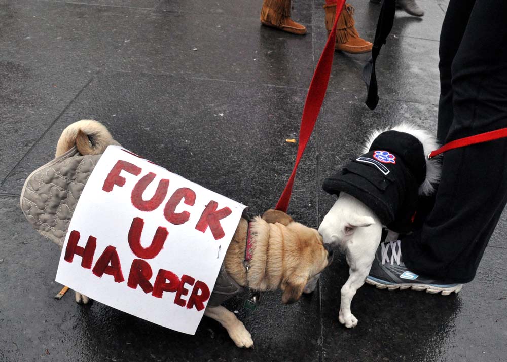 think this butt sniffing dog is changing his vote in the next