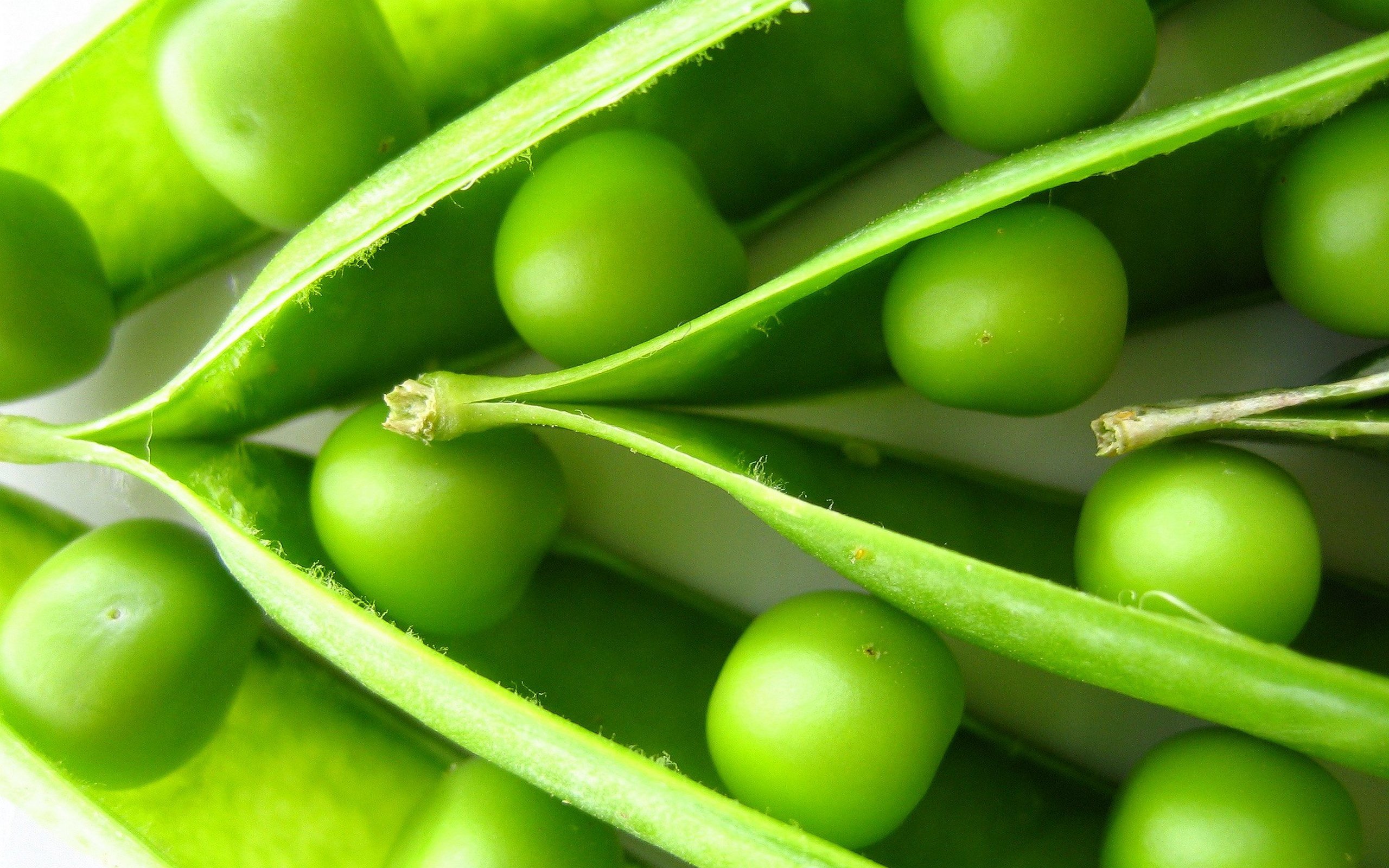 Best Pea Wallpaper Sweet