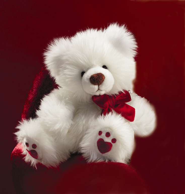 cutest teddy bear in the world