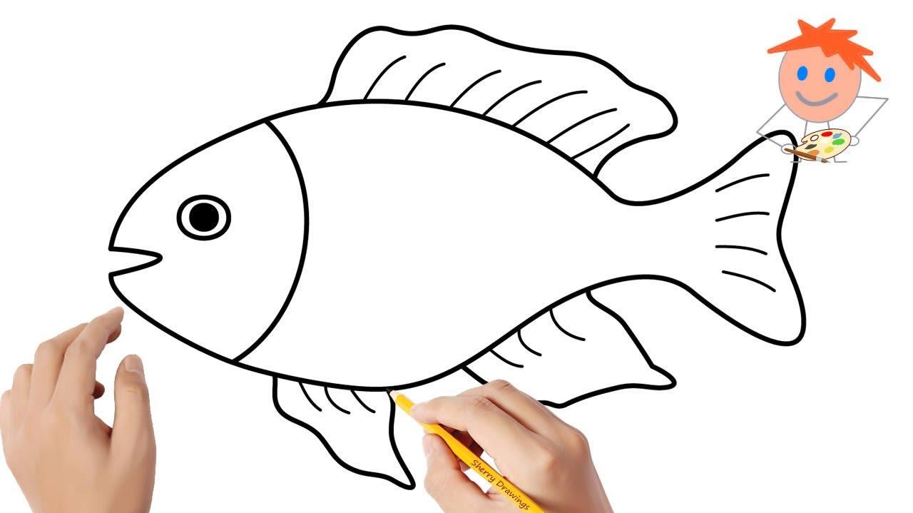 Top Fish Drawing Image Amazing Collection