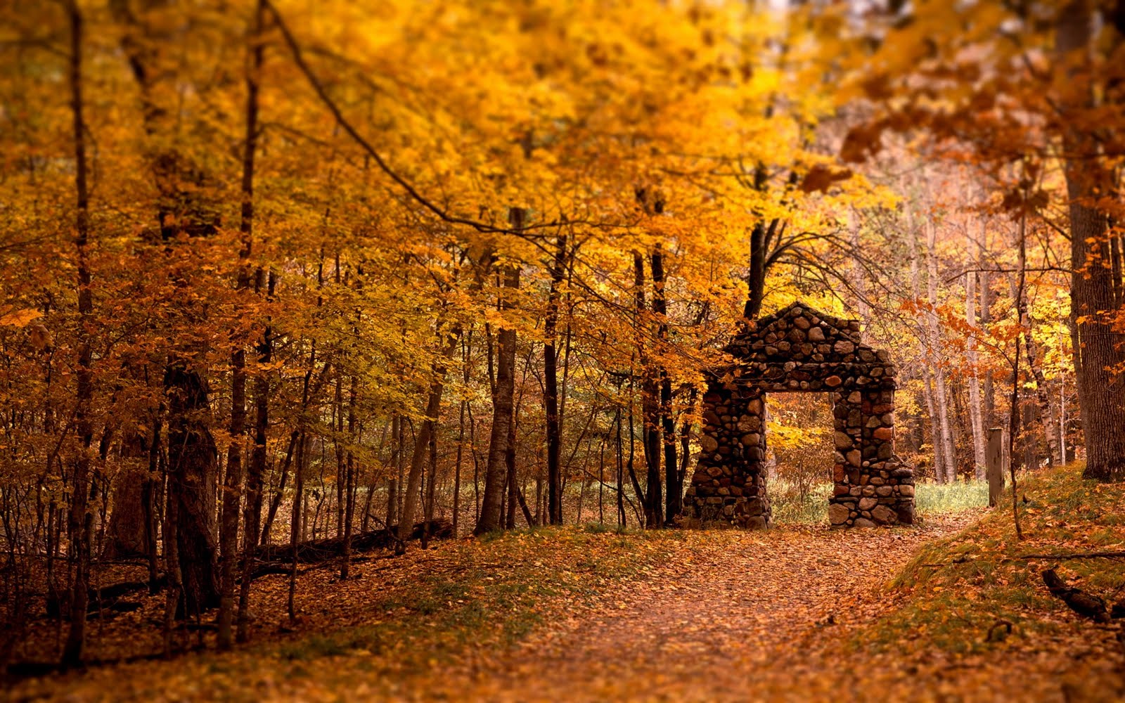  Gate Red Forest Autumn Fall HD Wallpapers Epic Desktop Backgrounds 1600x1000