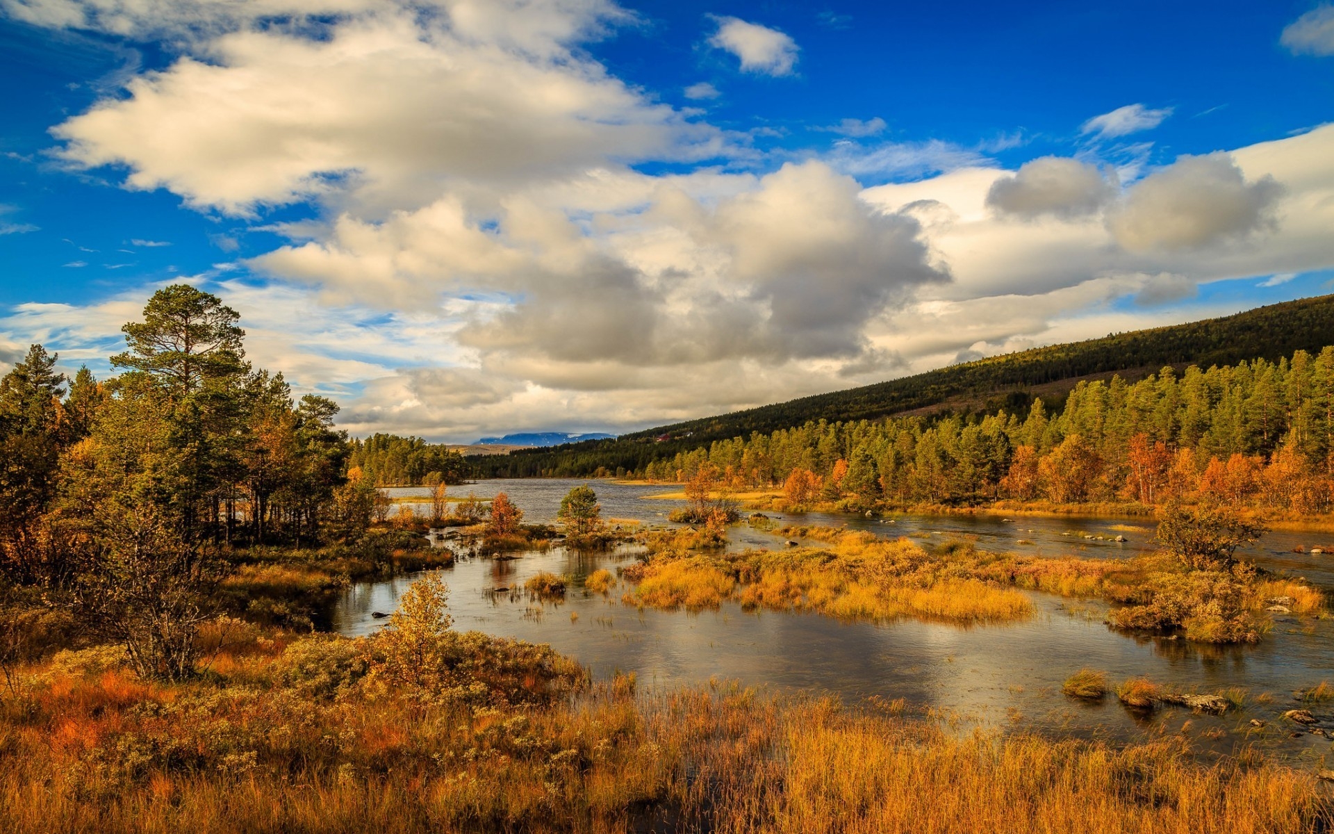 Norway Autumn Landscape 4k Wallpaper HD