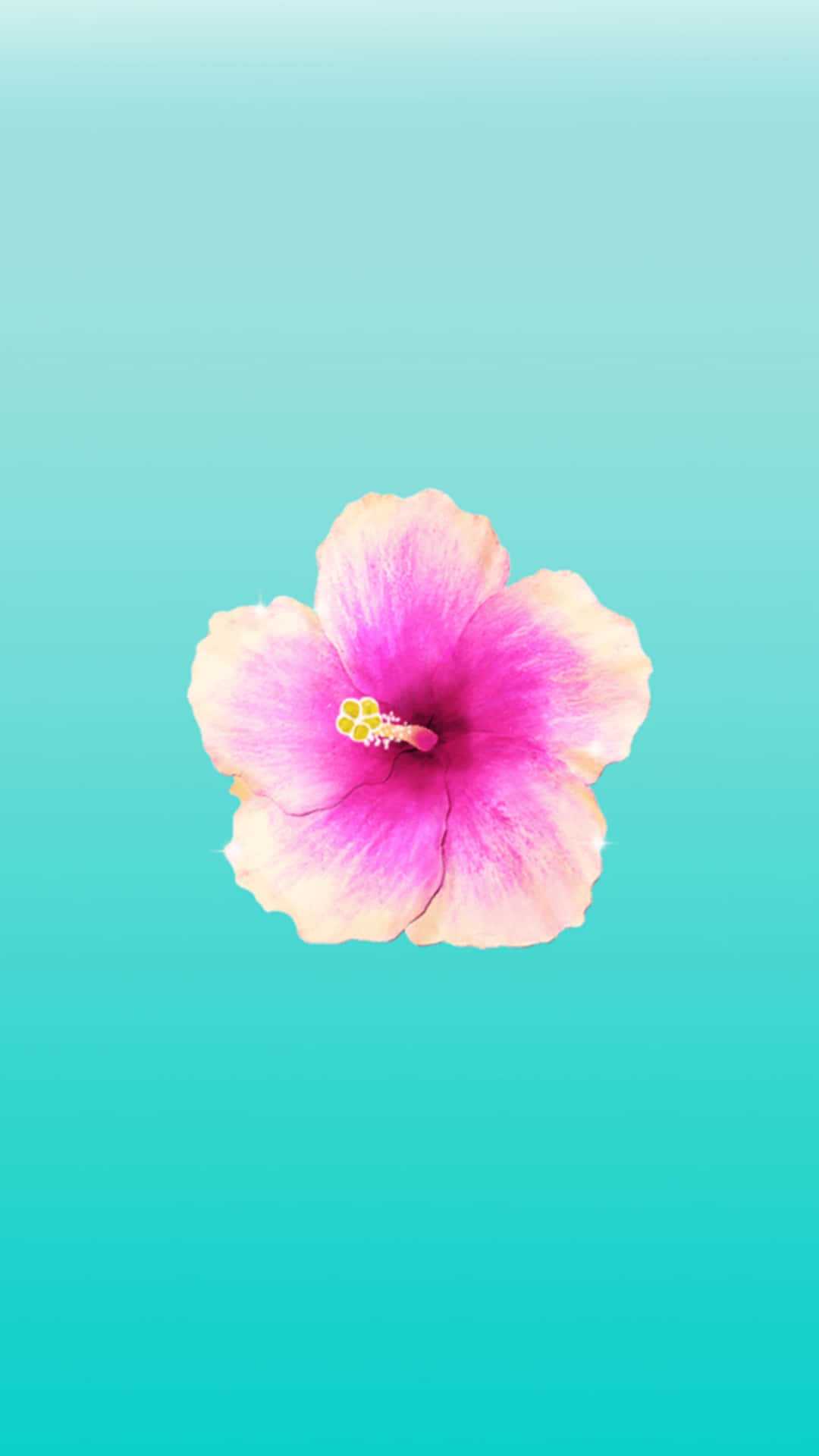 Hibiscus Aesthetic Wallpaper
