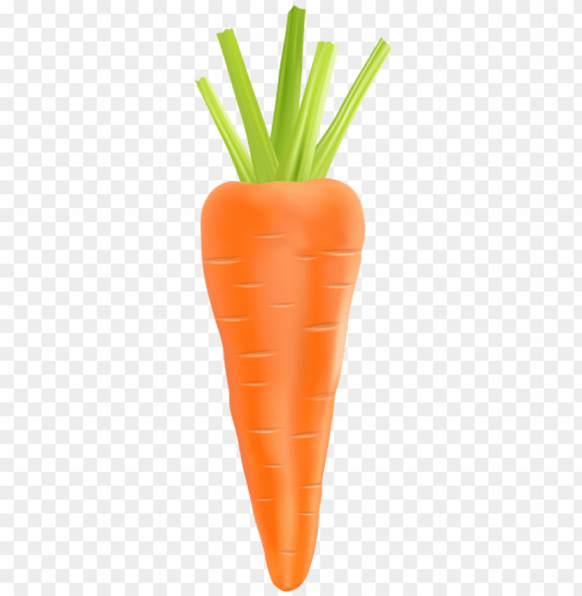 Carrot Transparent Png Image Background Toppng