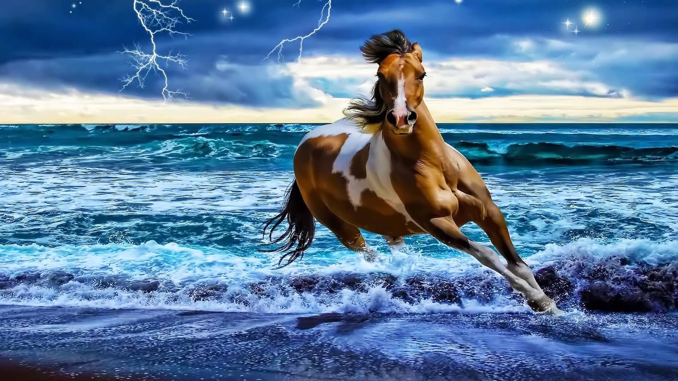 Horse Running On The Beach Wallpaper