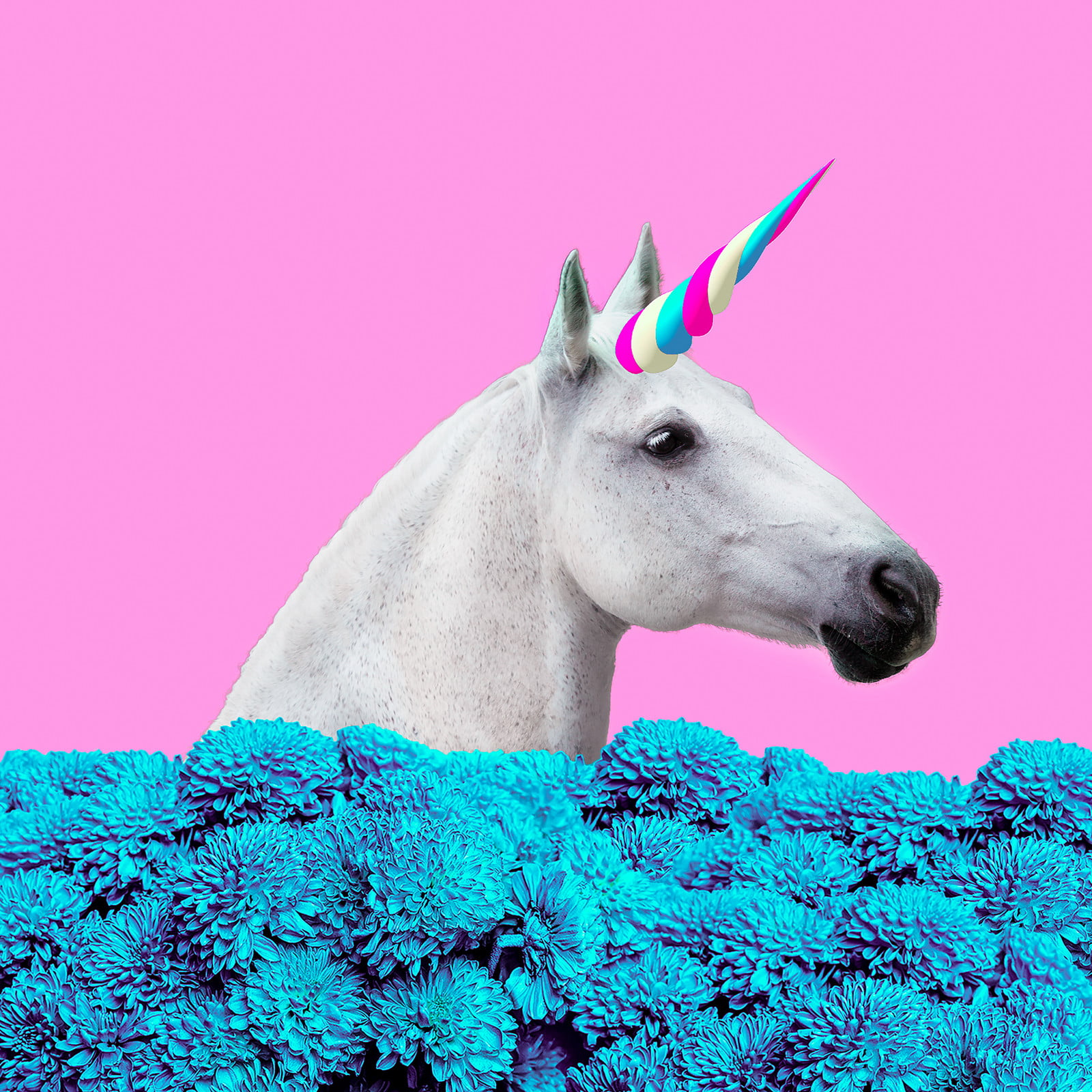 From Unicorns To Space Shutterstock Pinpoints Creative