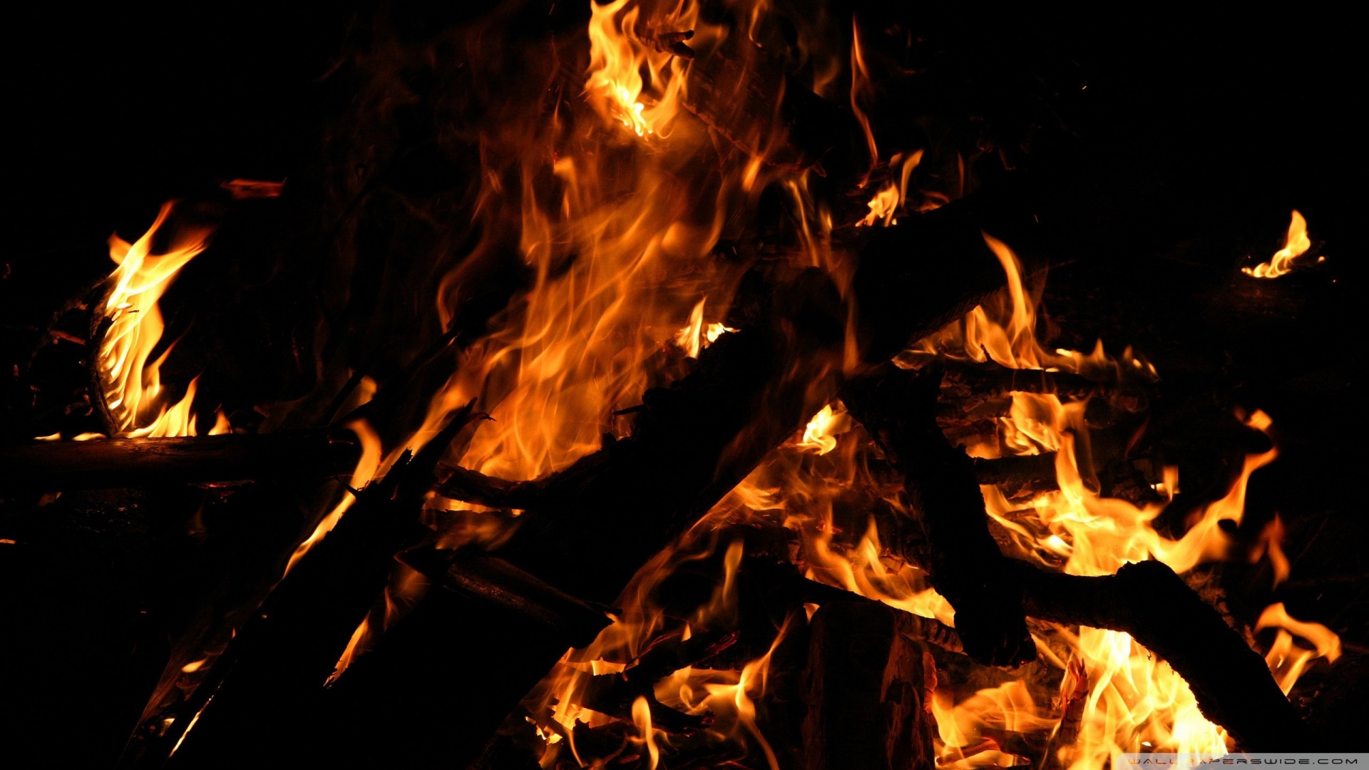 Campfire At Night Wallpaper