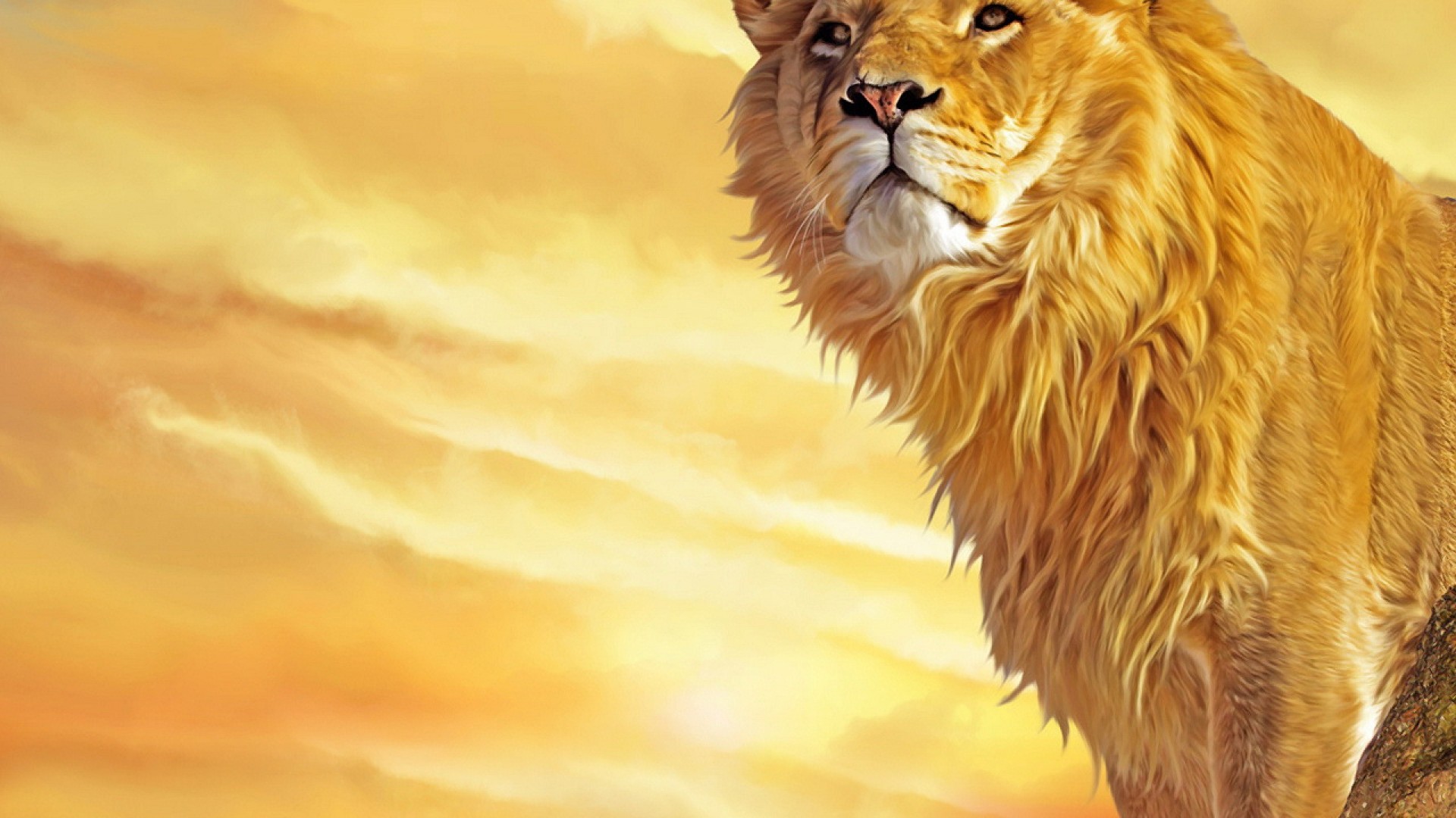 Majestic Lion Against Golden Sunset