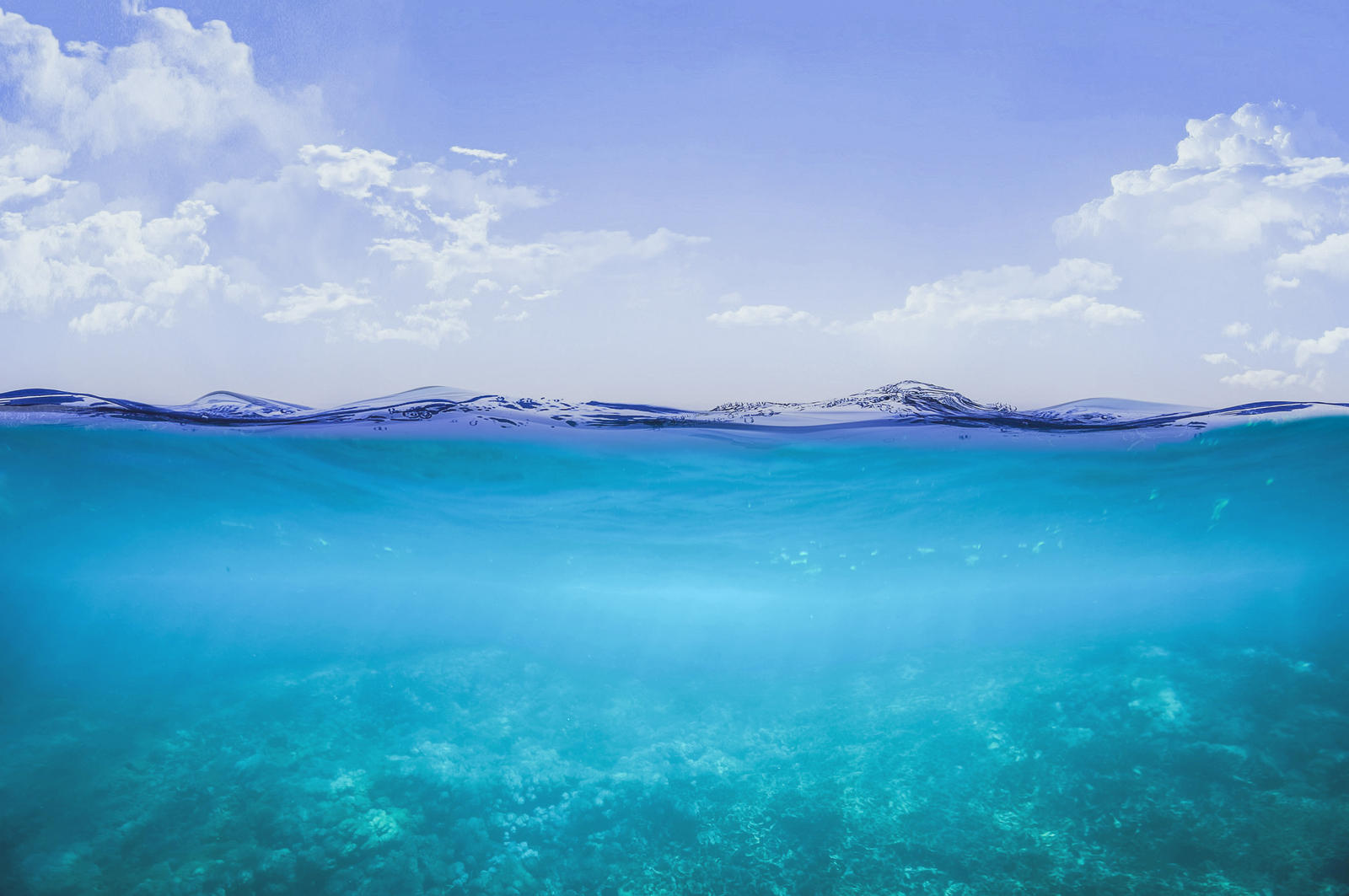 A split-level underwater view of a vibrant coral reef, with the crystal clear ocean surface above meeting a bright blue sky