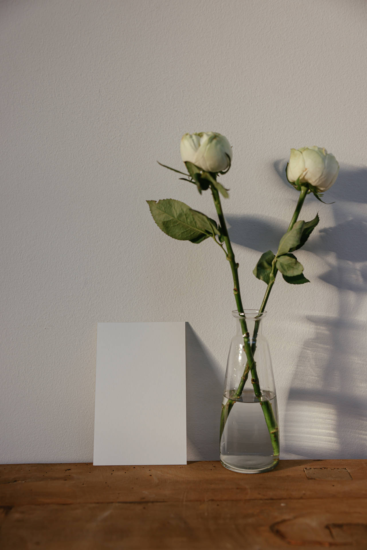 White Flowers Wallpaper