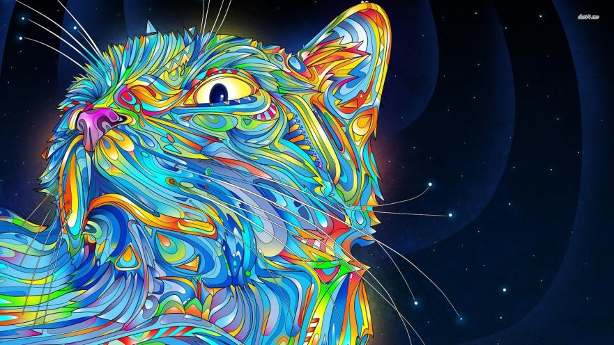 Cats Colorful Stylized Cat Artistic Wallpaper Jpg