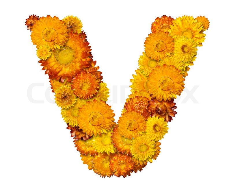 Image Of Letter V Flower Alphabet Isolated On White
