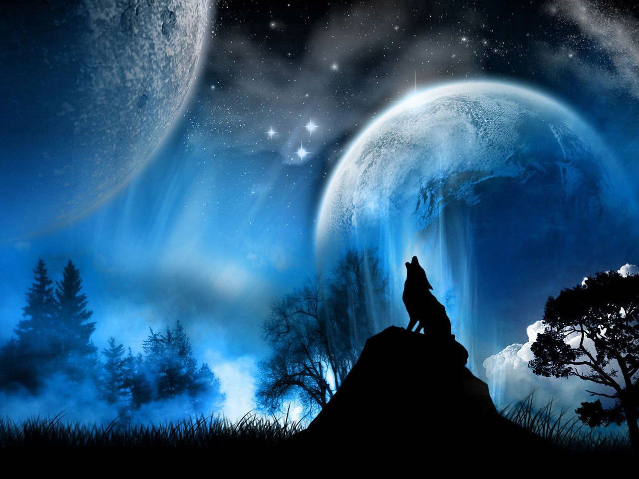 Lobo Wallpaper Wolf Background Fantasy