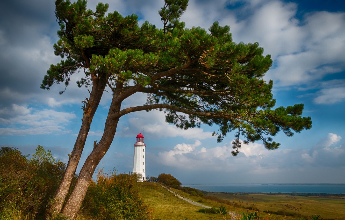 Wallpaper Sea Tree Coast Lighthouse Germany Pine