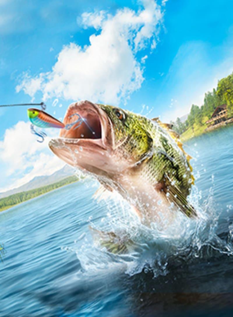 Legendary Fishing For Nintendo Switch Official Site