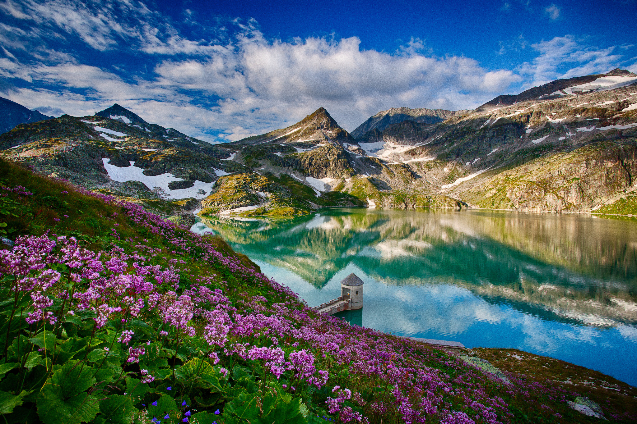 Mountains Lake Flowers Landscape Reflection Wallpaper Background