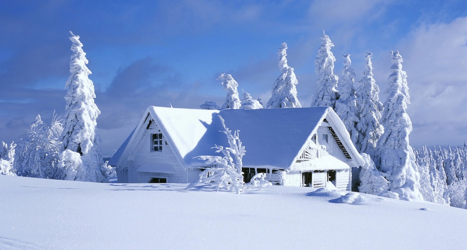 Climate Tech Simple Steps to Cold Weather Safety
