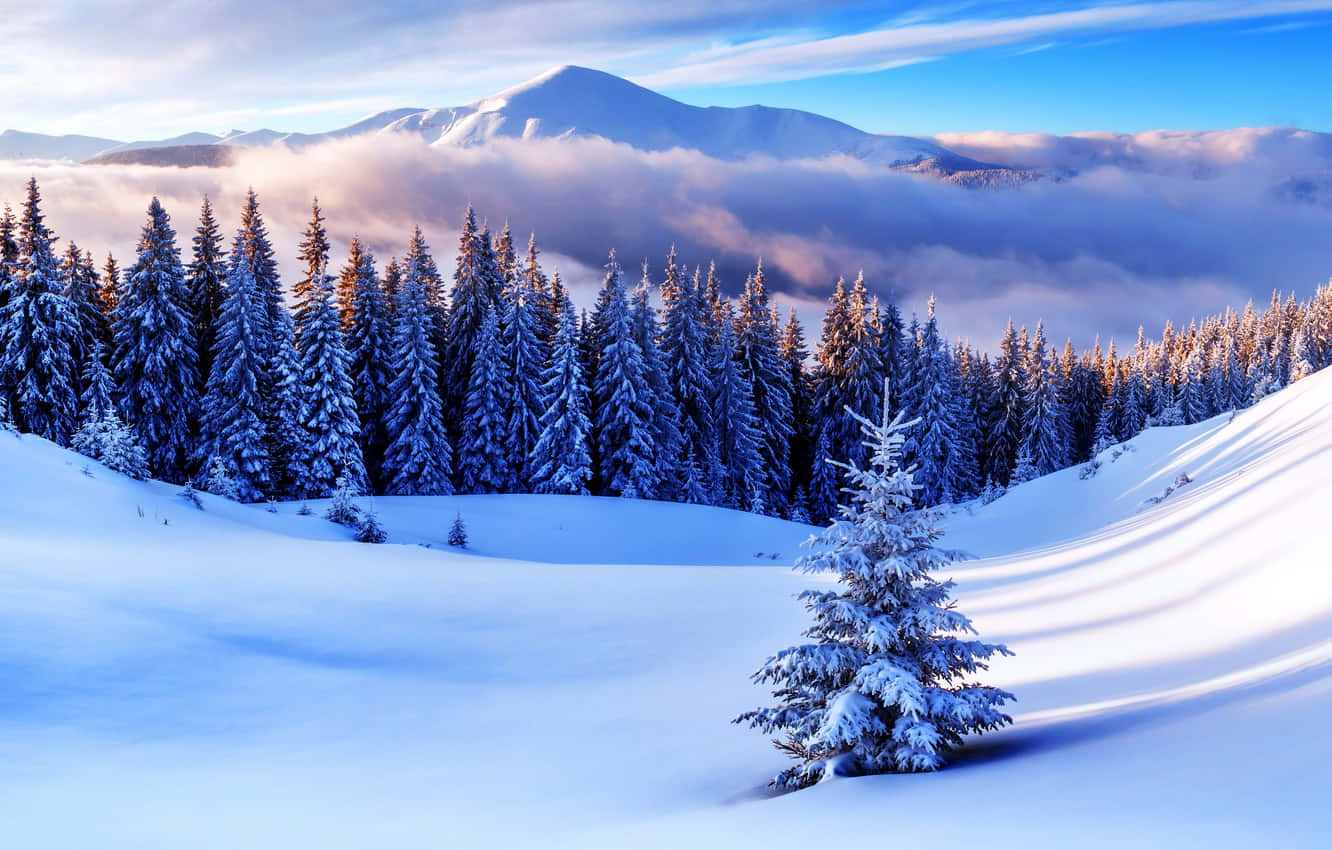 Winter Snow Desktop Wallpaper