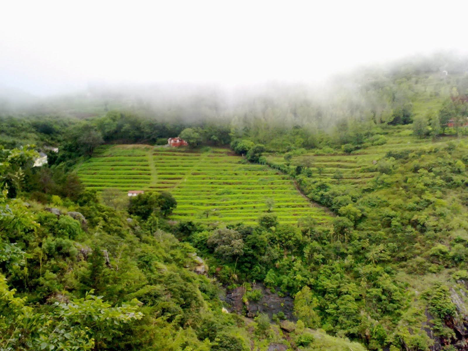 Ooty, charm of the Nilgiris - Stamped Moments