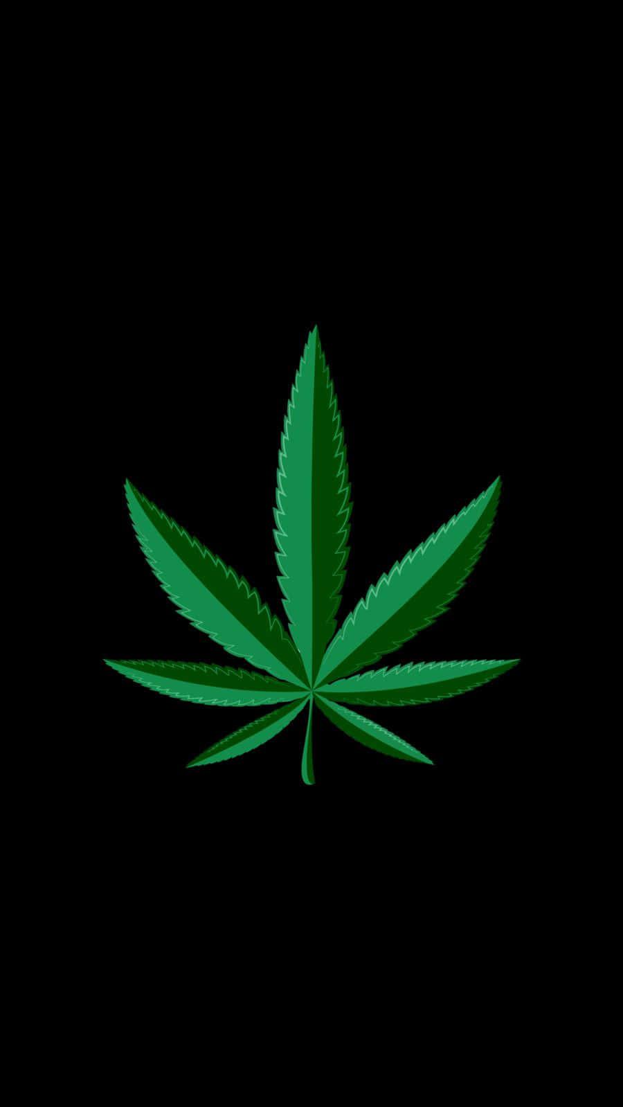 Cannabis Leaf Pictures For Wallpaper