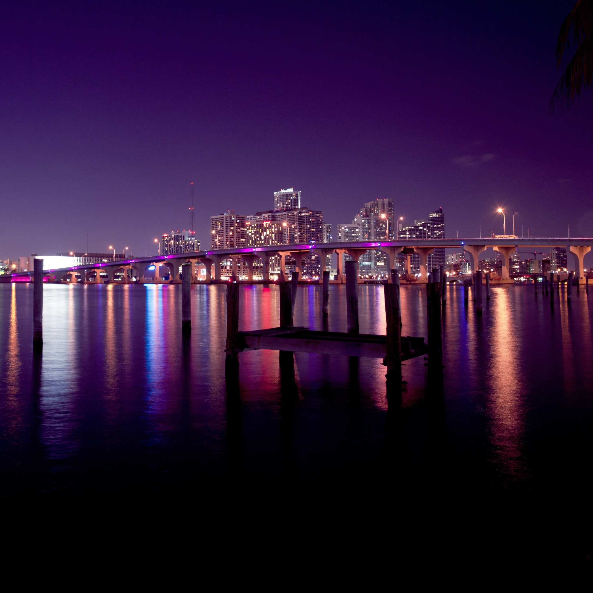 HD Wallpaper Miami Skyline At Night X Kb Jpeg
