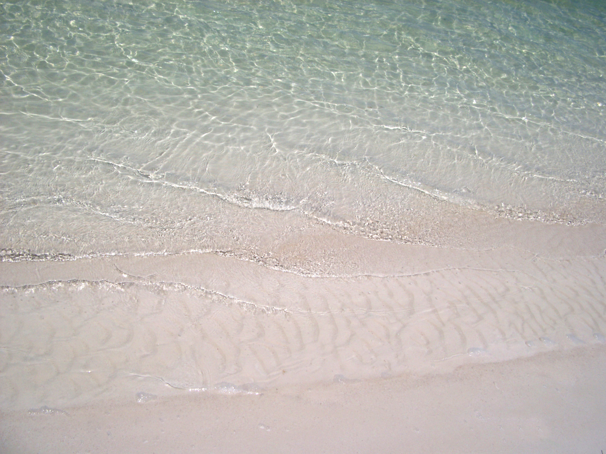 Stock Photo Of Tropical Beach Background Photoeverywhere