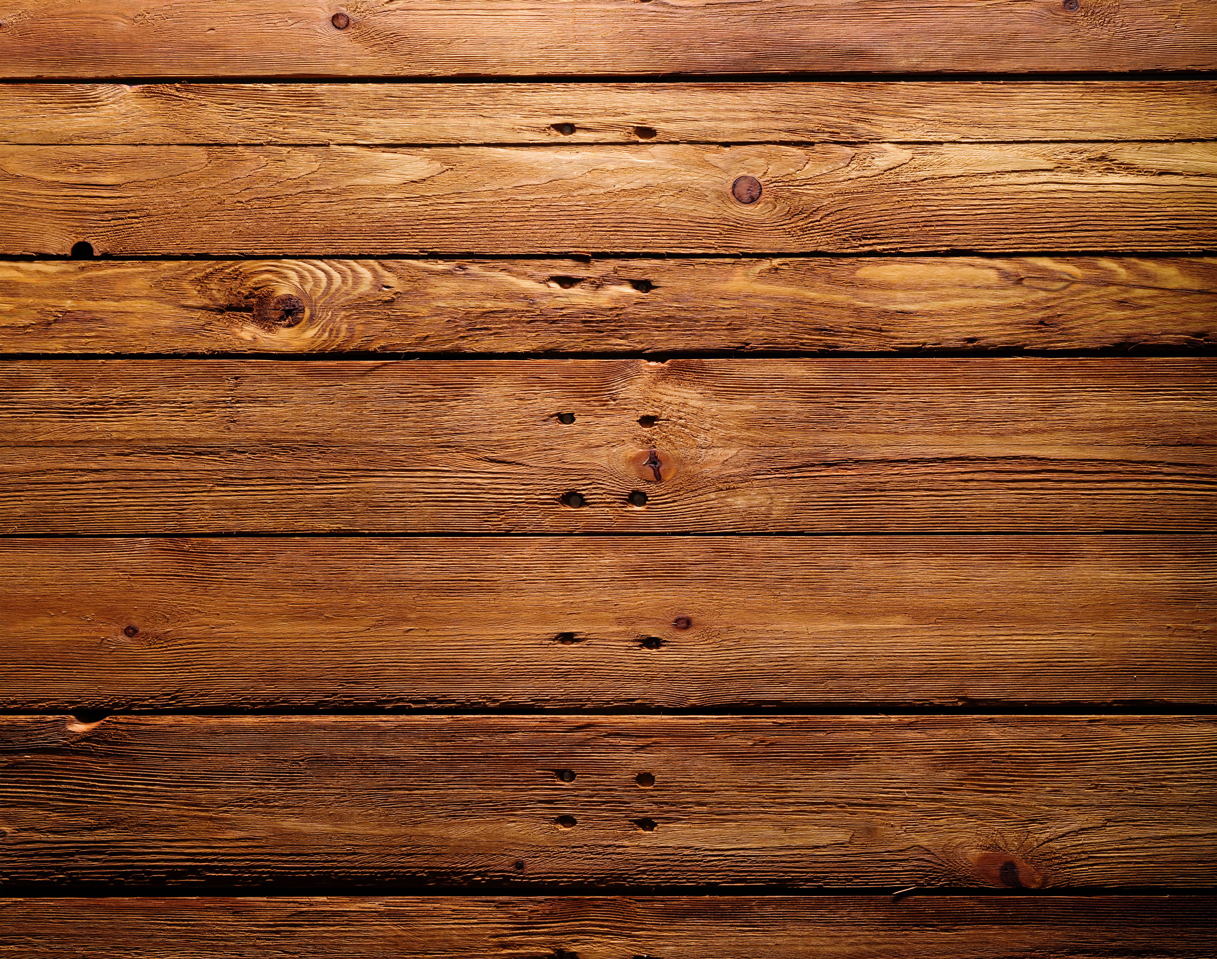 Wood Background Wallpaper Photo Texture Tree