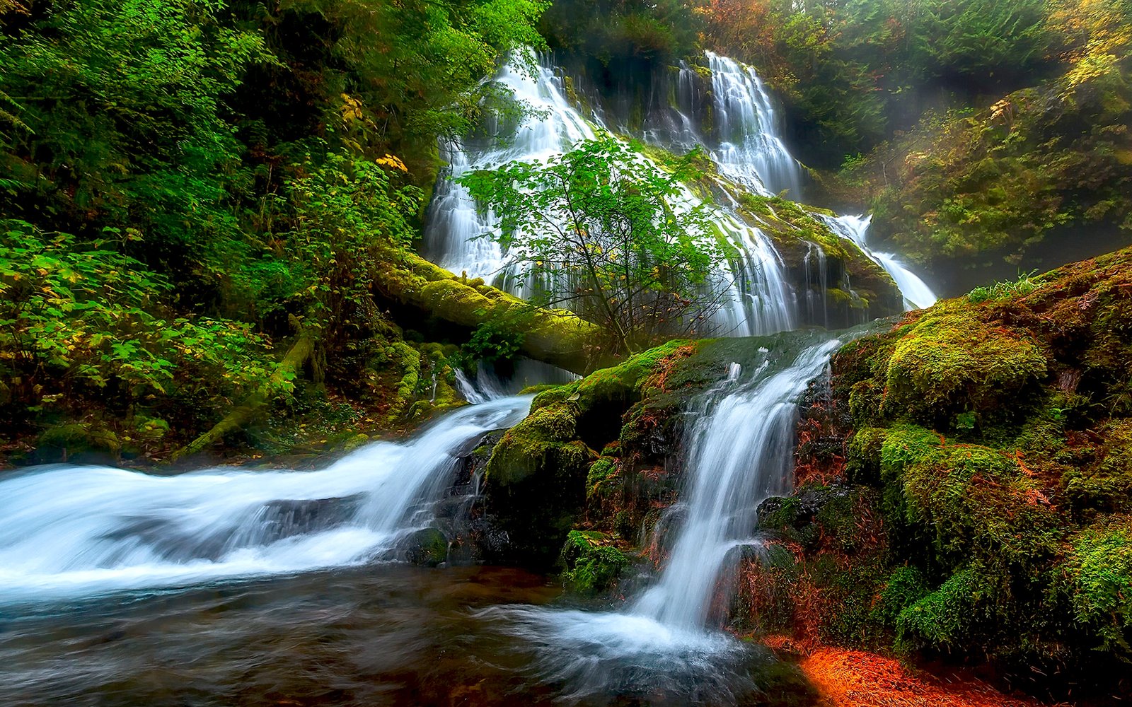 Natural Beauty Panther Creek Falls Columbia River District Skamejnija Wallpaper
