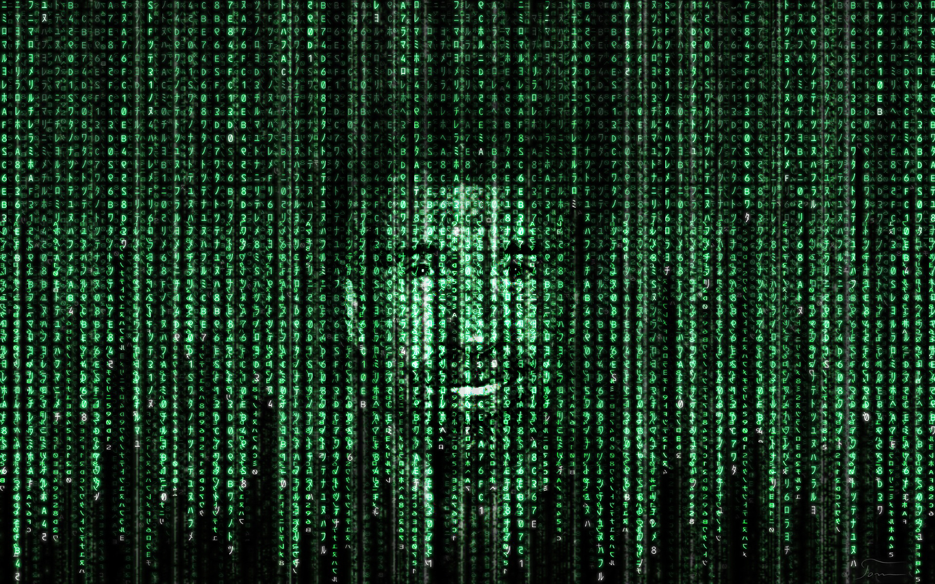 Chuck Norris In Matrix Code By Tomhotovy
