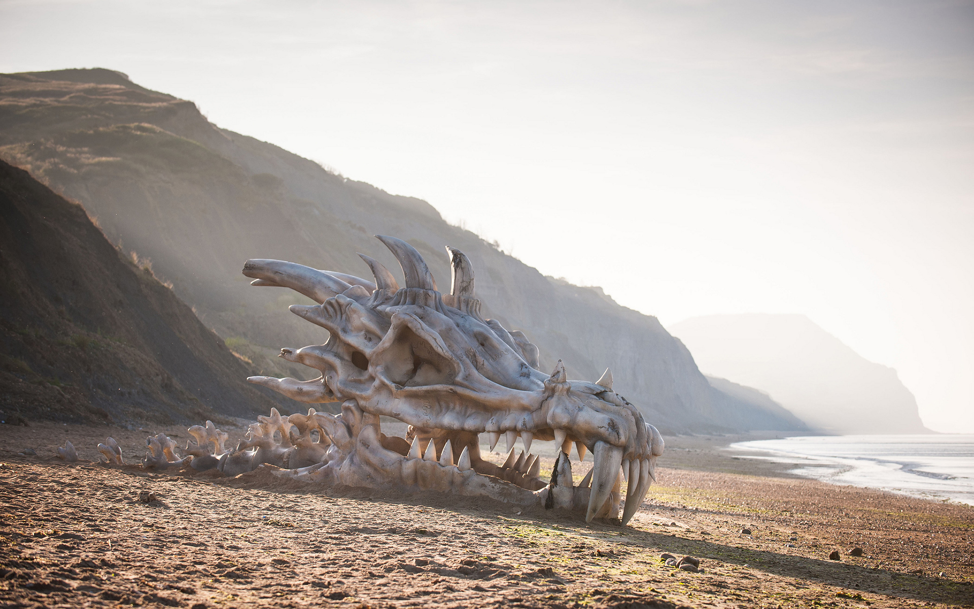 Game of Thrones Dragon Skull Skeleton Bones Beach fantasy dragons g