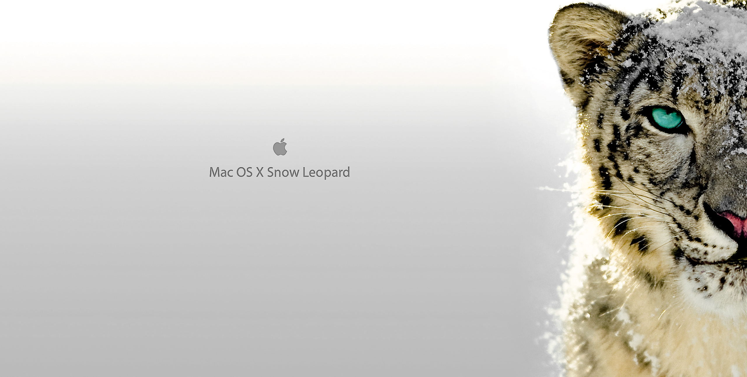 Snow Leopard Mac Os X Wallpaper Scale