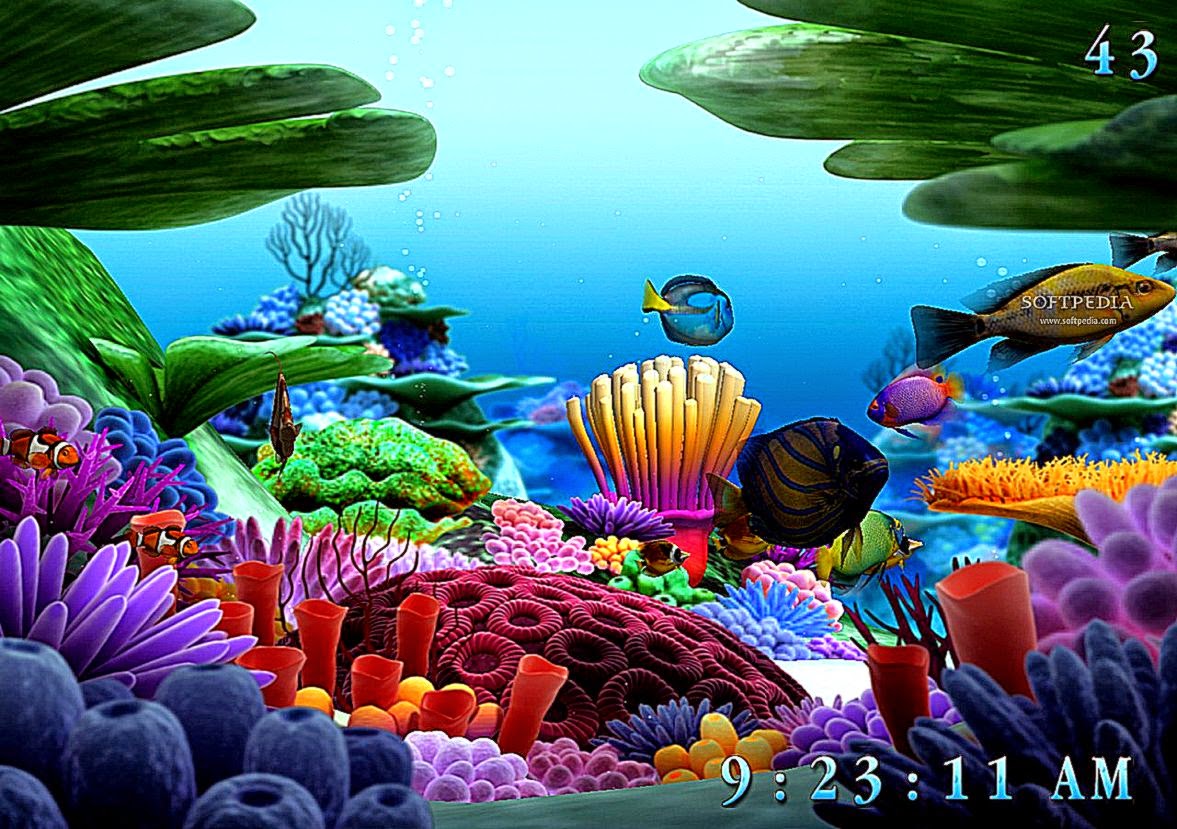 3d Sea Life Screensaver Wallpaper HD