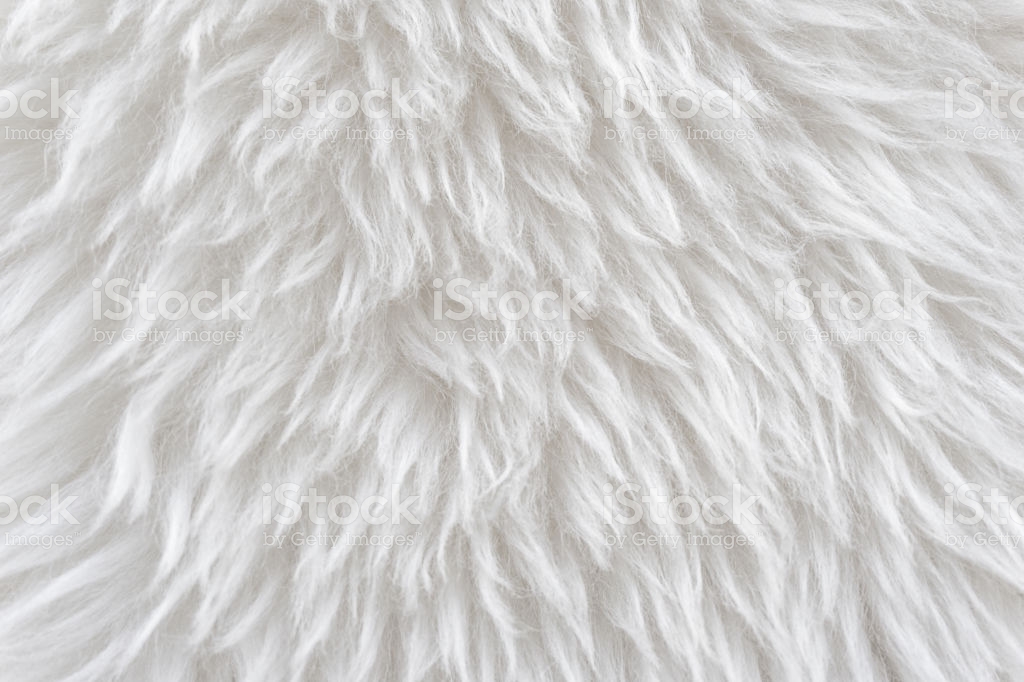 White Fluffy Sheep Wool Texture Beige Natural Background Fur