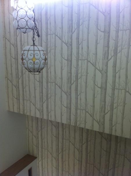Removable Wallpaper On Cole Sons Woods