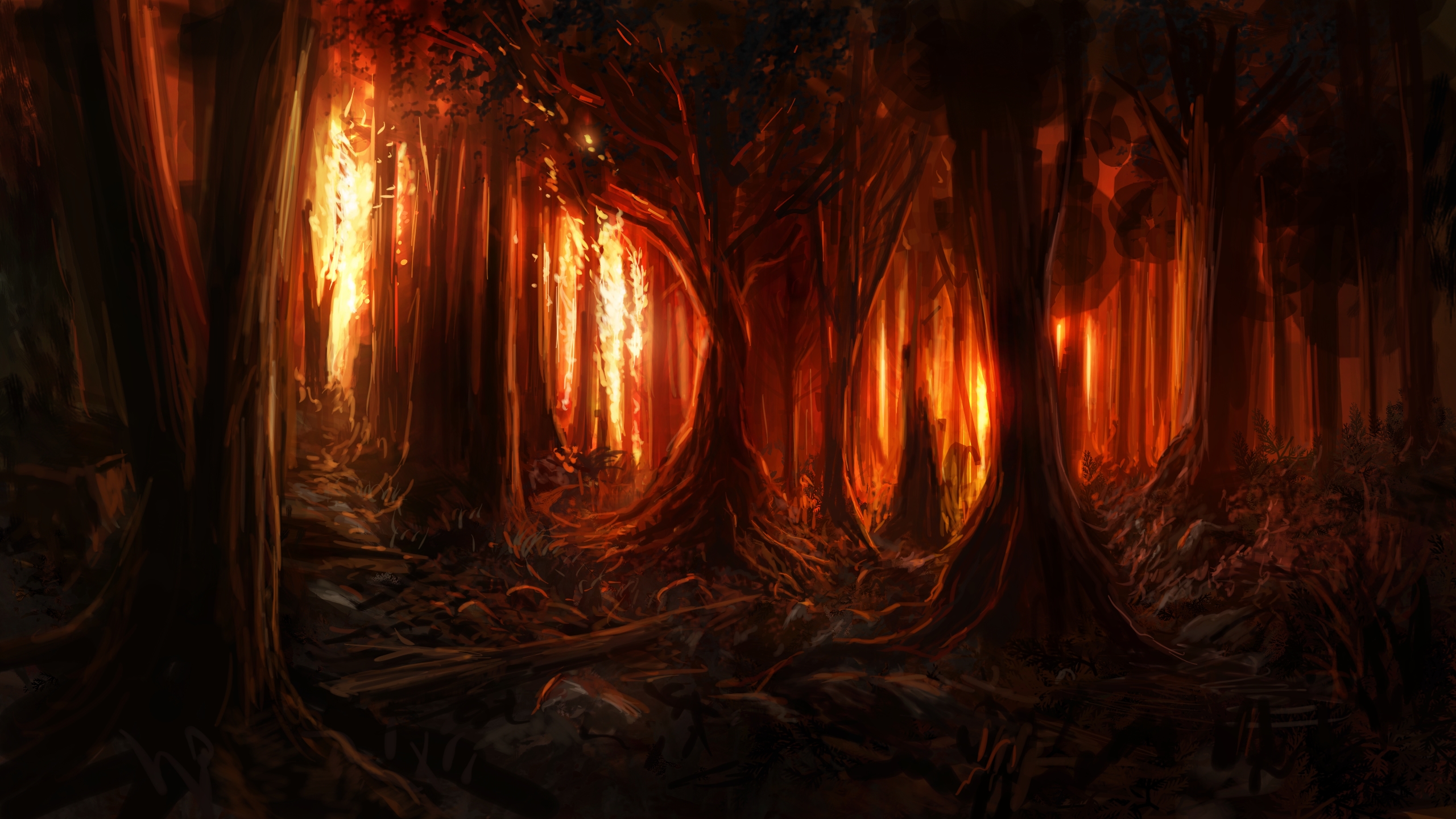 Burning Woods HD Wallpaper Background Image Id