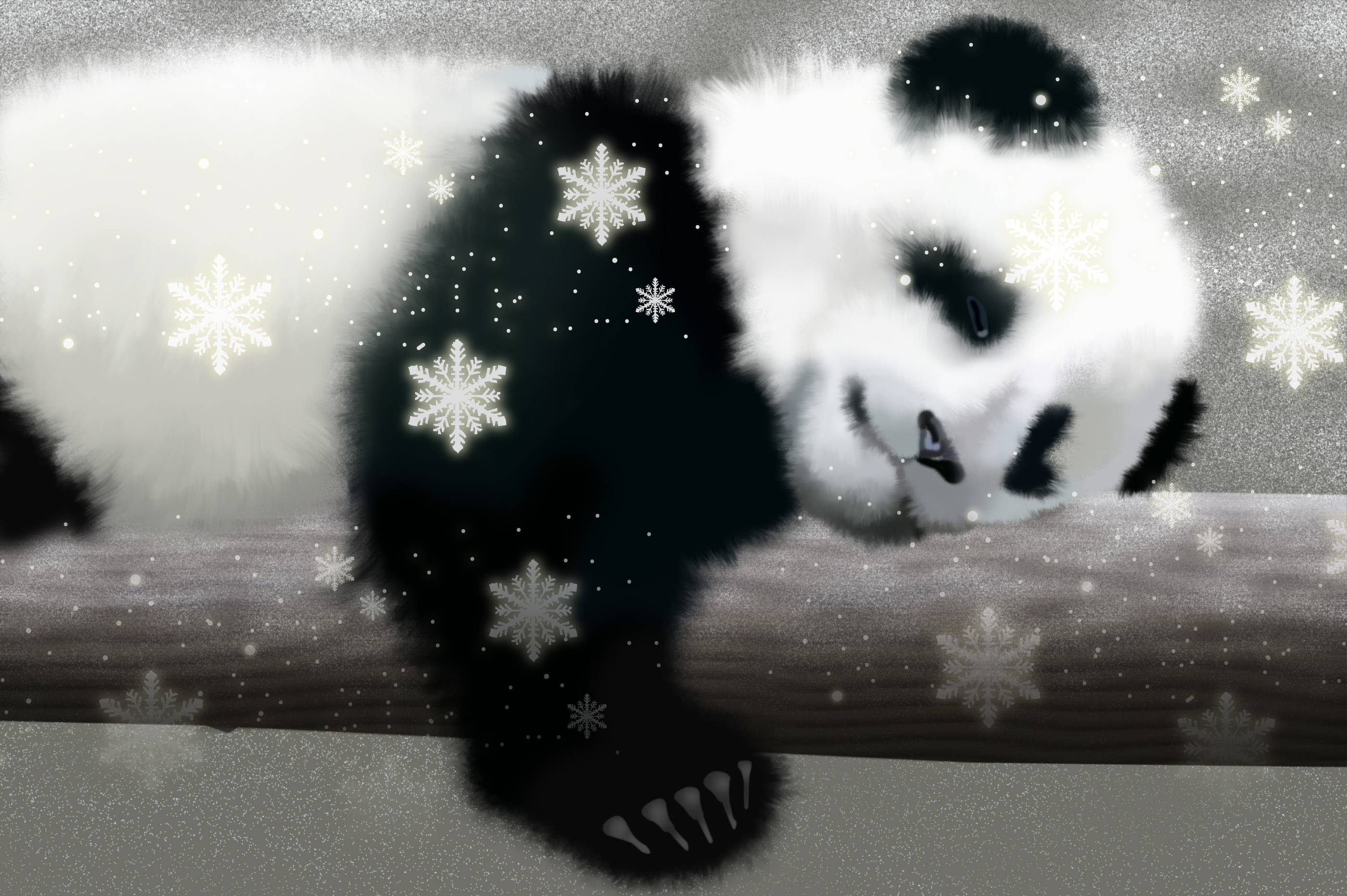 Feedio Cute Panda Wallpaper For Desktop Background