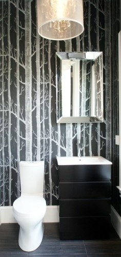 Im Still Loving The Cole And Son Birch Tree Wallpaper Think It Would