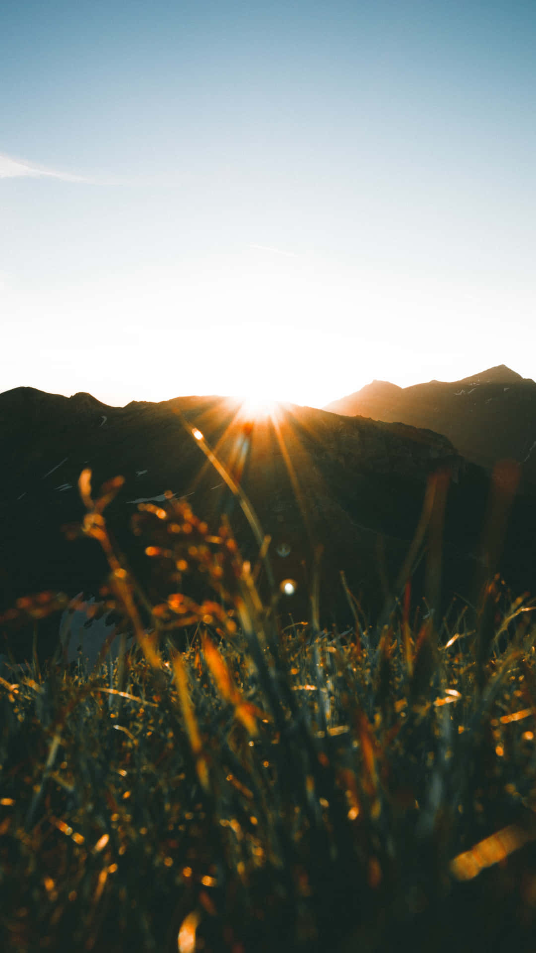 Enjoying The Warmth Of Beautiful Sunshine Wallpaper