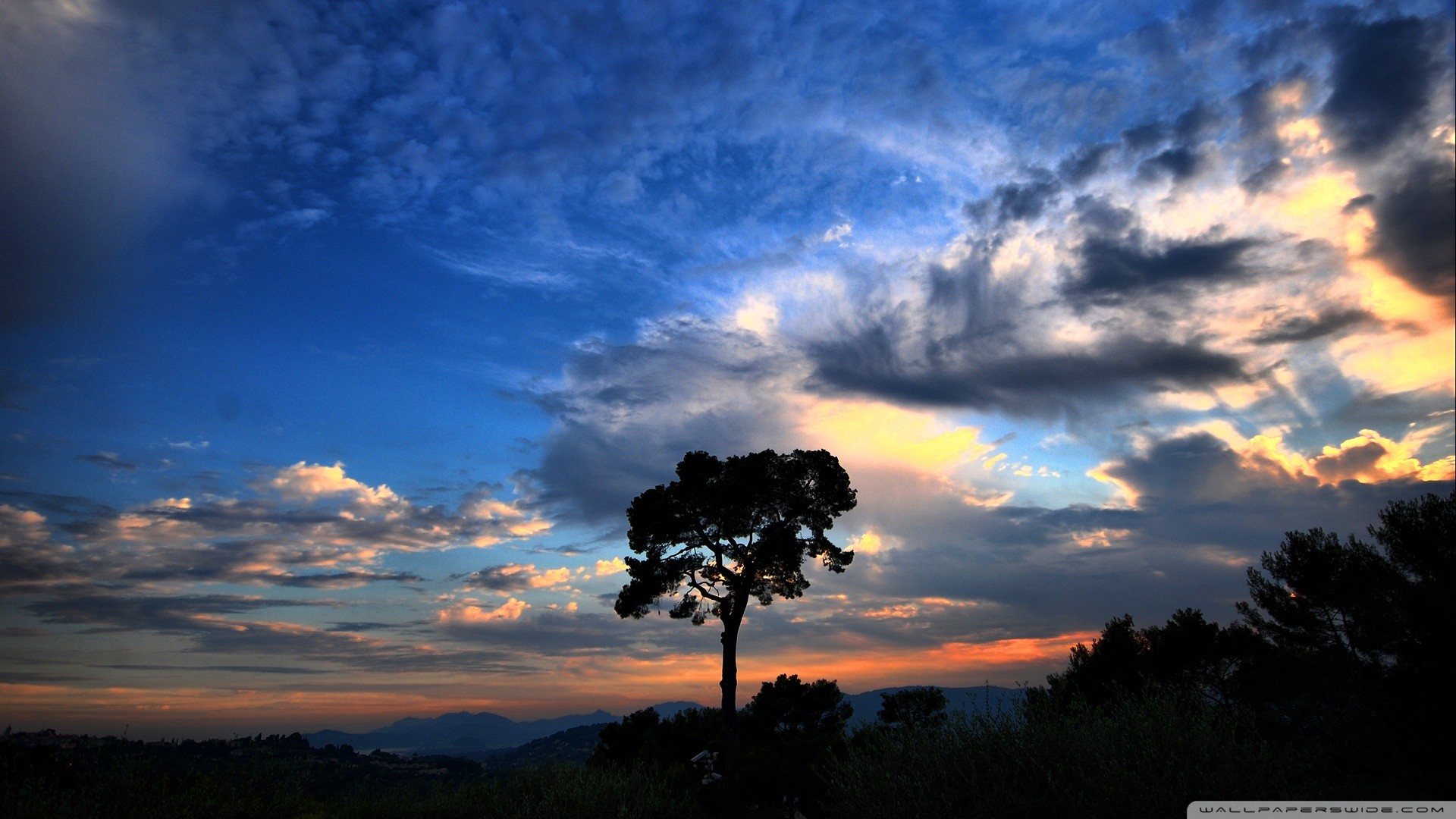 National Geographic Wallpaper HD Image