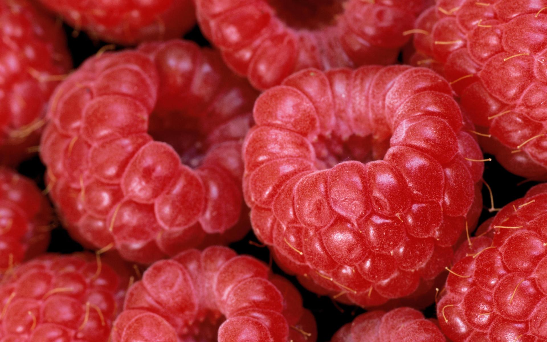 Raspberries Wallpaper