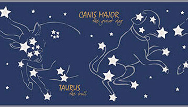 Constellations Wall Border   Night Sky Stars Wallpaper Roll