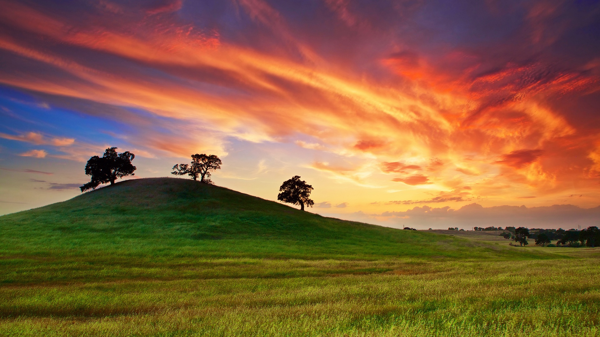 Spring Sunset Grass Hill Trees Red Sky High Definition Wallpaper