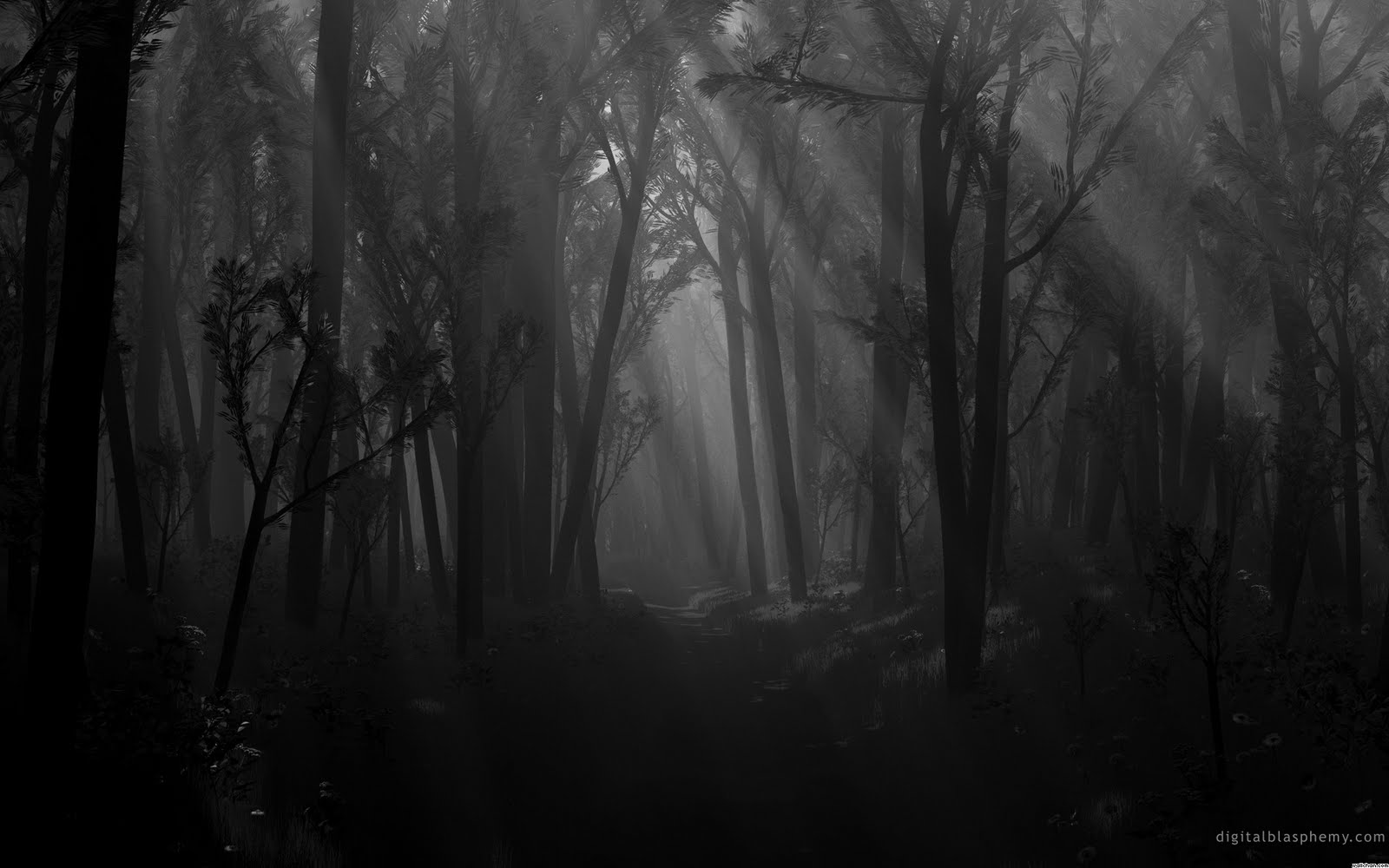  dark forest path shadows spooky monochrome wallpaper wallpaperjpg