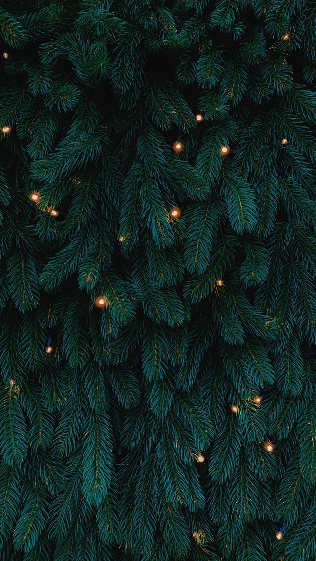 Best Christmas iPhone HD Wallpaper
