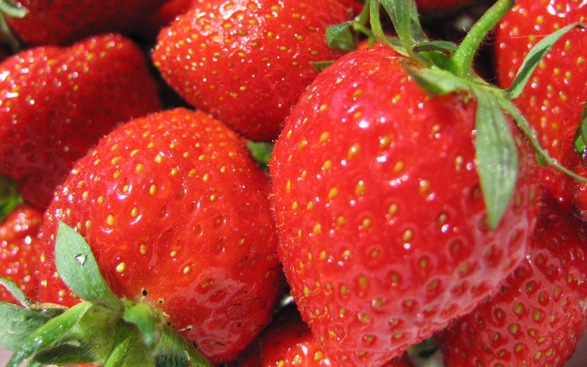 Wallpaper Perfect Strawberries Red Desktop Image