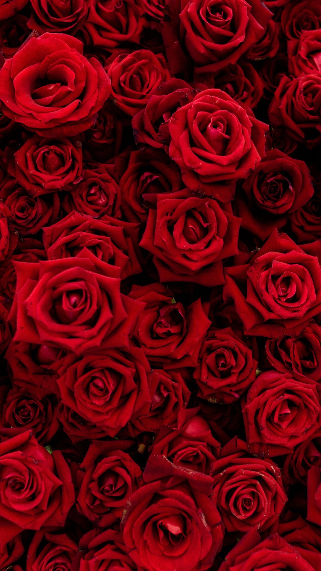 Wallpaper