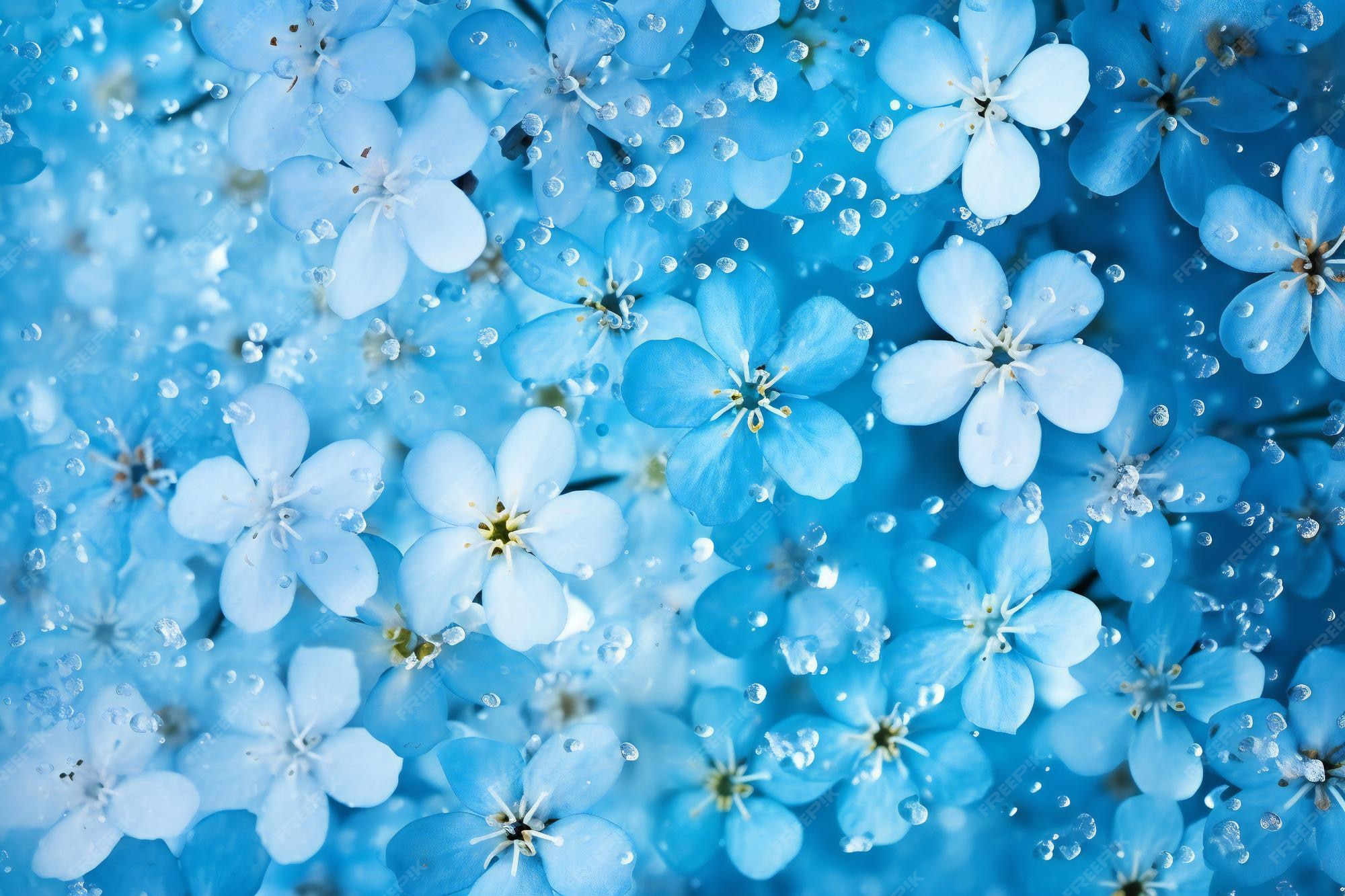 Blue Flowers Wallpaper