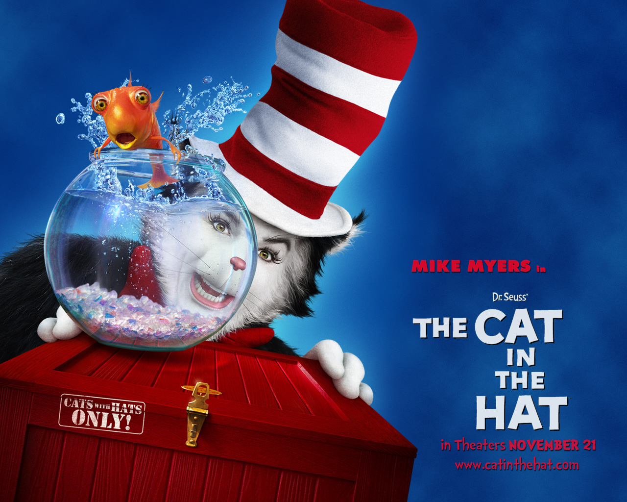 Cat In The Hat Free Desktop Wallpapers for HD Widescreen and Mobile