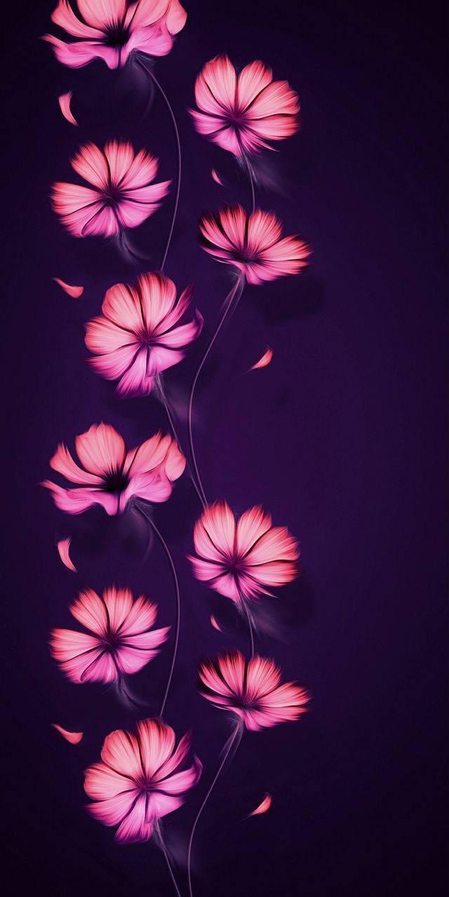 Pretty Phone Wallpapers